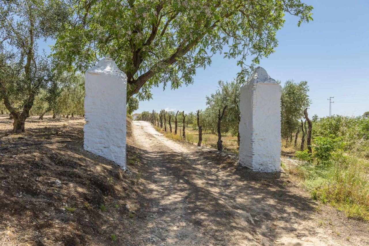 Villa Hacienda San Antonio à Marchena  Extérieur photo